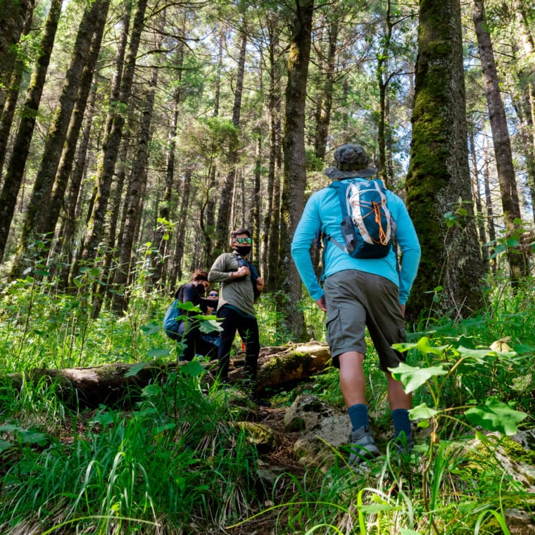 Outdoor adventure program photo